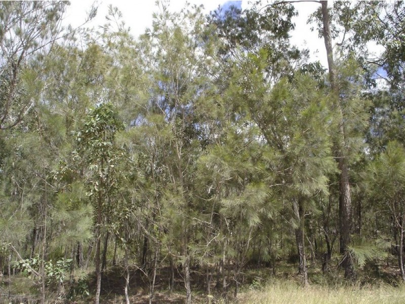 Lot 140 Capricornia Drive, Deepwater QLD 4674