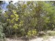 Lot 140 Capricornia Drive, Deepwater QLD 4674