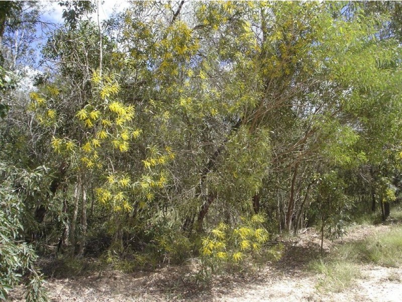 Lot 140 Capricornia Drive, Deepwater QLD 4674