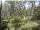 Lot 140 Capricornia Drive, Deepwater QLD 4674