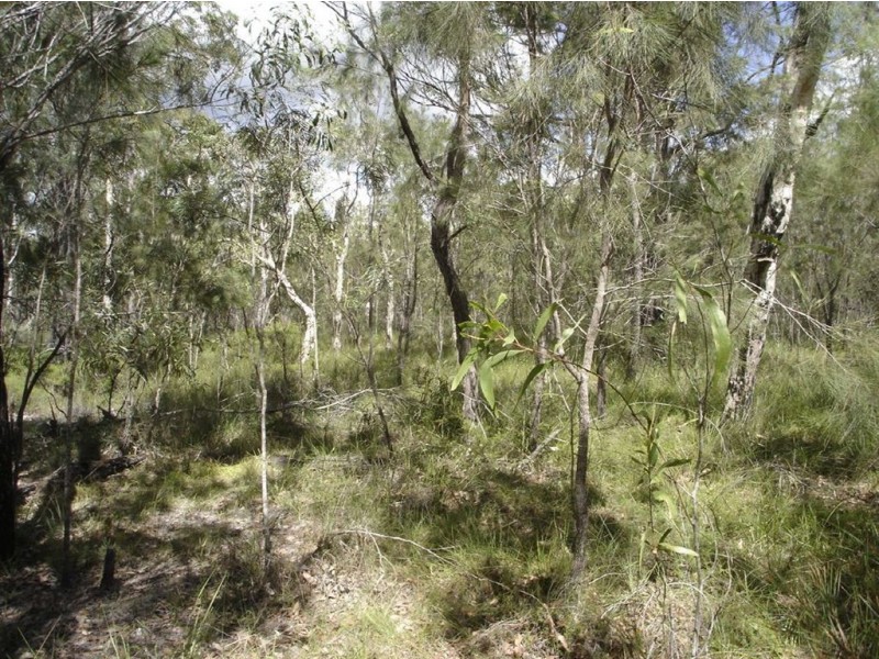 Lot 140 Capricornia Drive, Deepwater QLD 4674