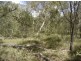 Lot 140 Capricornia Drive, Deepwater QLD 4674