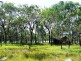 Lot 308 Tanti Road, Agnes Water QLD 4677