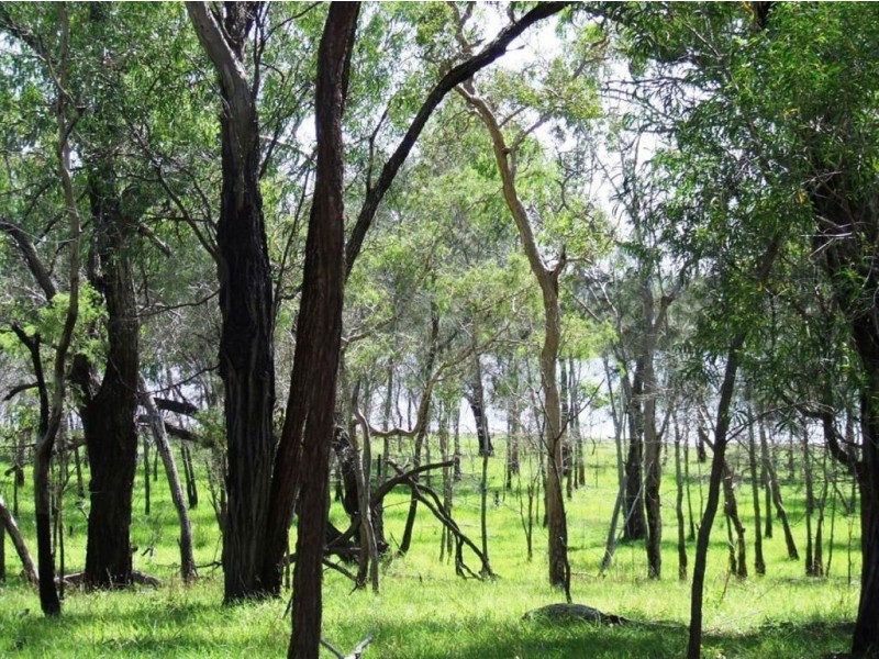 Lot 308 Tanti Road, Agnes Water QLD 4677