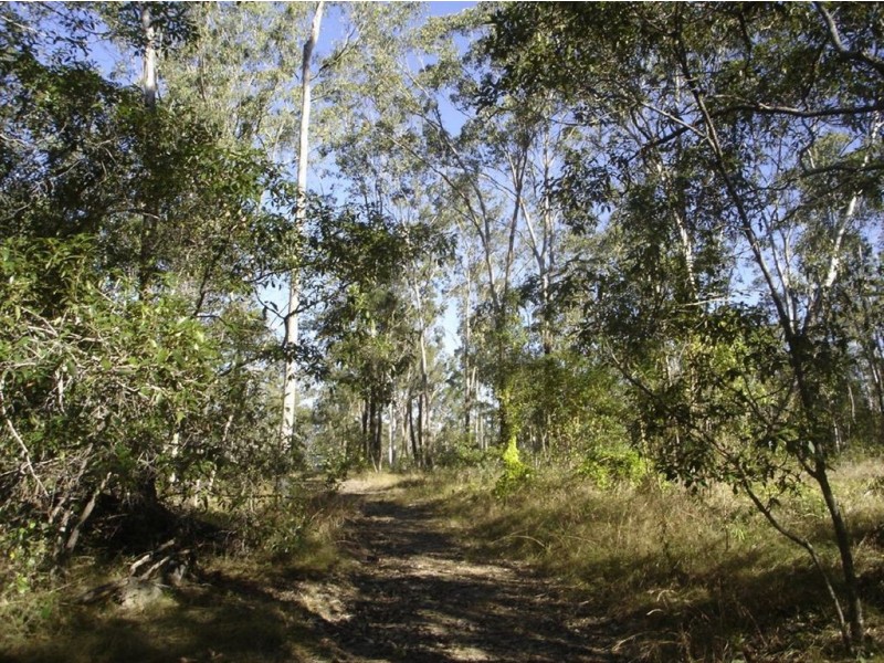 388 Mineral Road, Rosedale QLD 4674