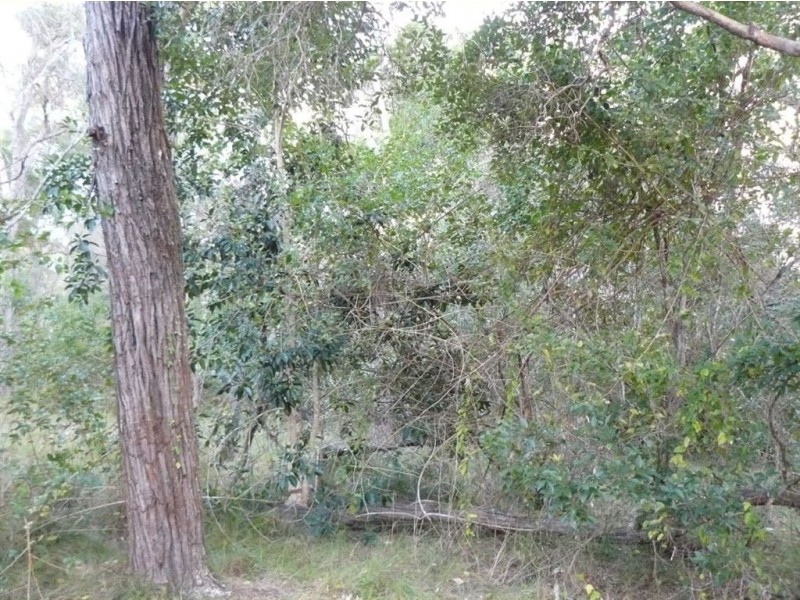 Lot 285 Innamincka Way, Agnes Water QLD 4677