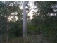 Lot 285 Innamincka Way, Agnes Water QLD 4677