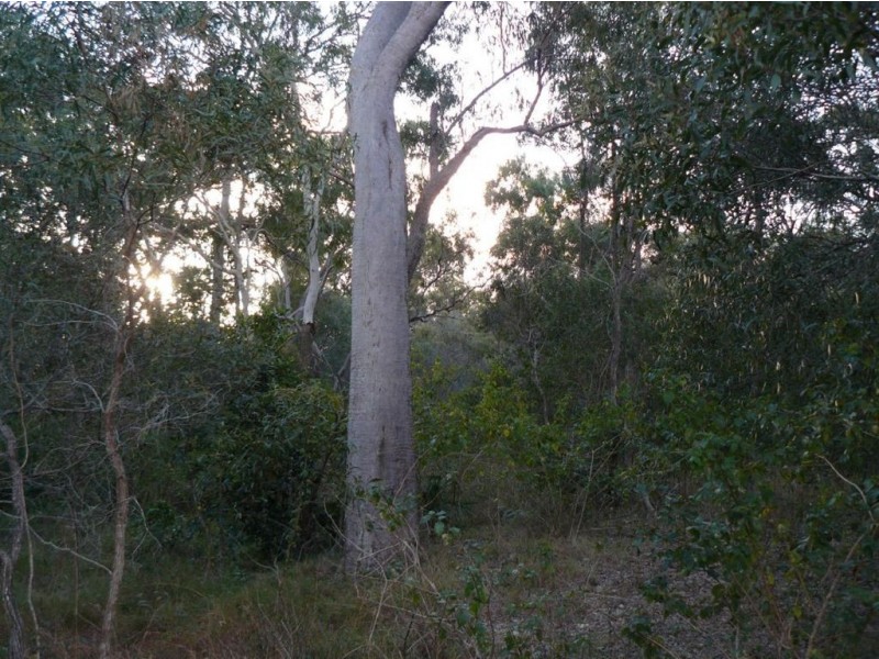 Lot 285 Innamincka Way, Agnes Water QLD 4677