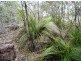 Lot 7 Tableland Road, Mount Maria QLD 4674