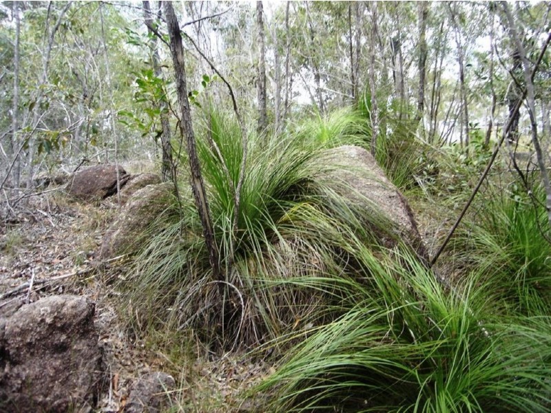 Lot 7 Tableland Road, Mount Maria QLD 4674