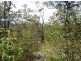 Lot 7 Tableland Road, Mount Maria QLD 4674