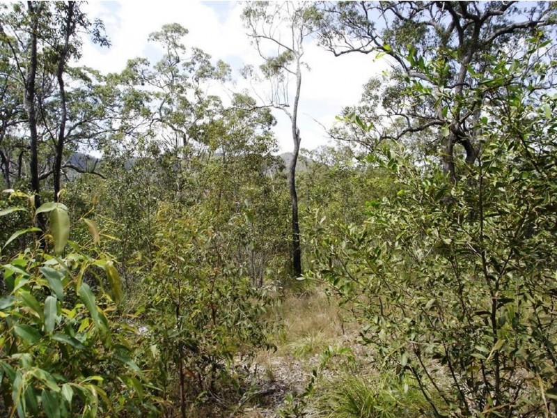 Lot 7 Tableland Road, Mount Maria QLD 4674