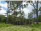 2374 Fingerboard Road, Mount Tom QLD 4677