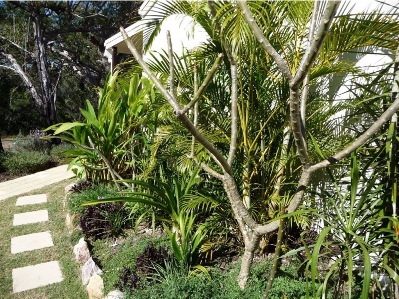 Lot 427 Anderson Way, Agnes Water QLD 4677