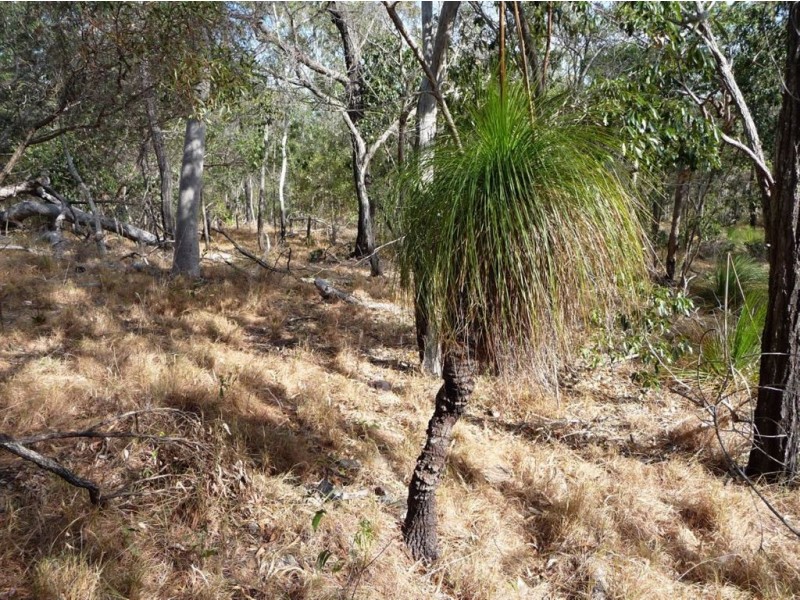 72 Josefski Road, Agnes Water QLD 4677