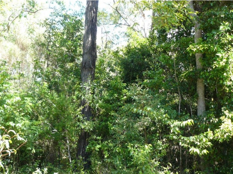 Lot 90 Fitzroy Crescent, Agnes Water QLD 4677