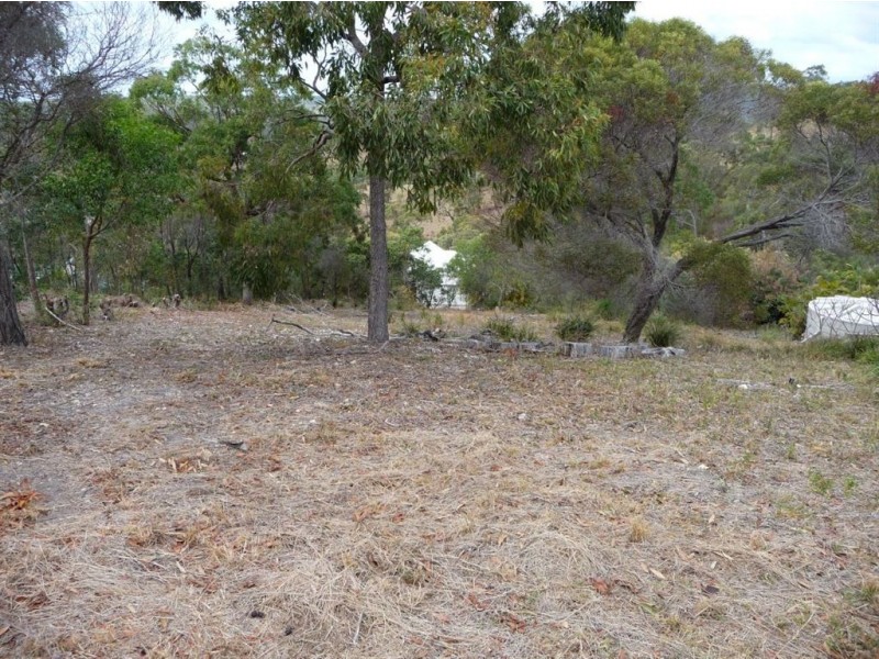 12 Shady Lane, Agnes Water QLD 4677