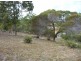 12 Shady Lane, Agnes Water QLD 4677