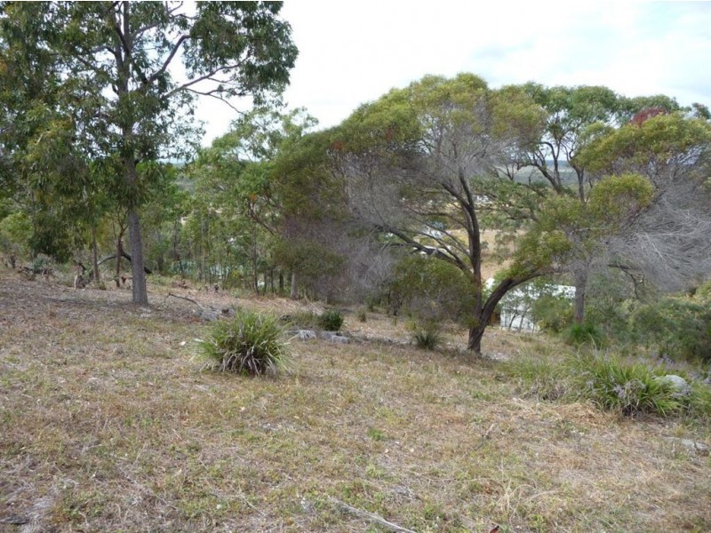 12 Shady Lane, Agnes Water QLD 4677