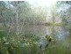 Lot 290 Masthead Drive, Agnes Water QLD 4677