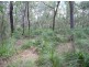 Lot 290 Masthead Drive, Agnes Water QLD 4677