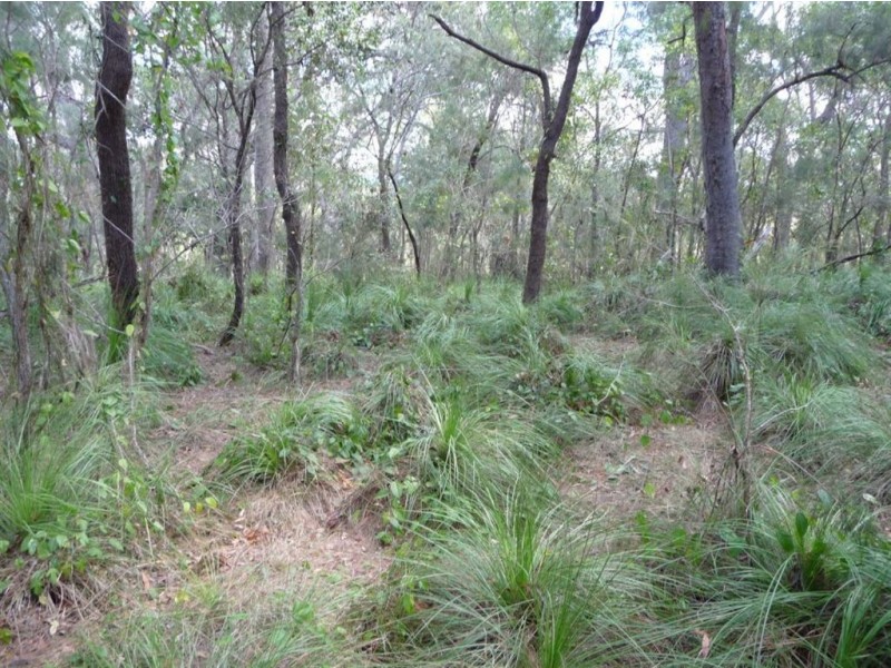 Lot 290 Masthead Drive, Agnes Water QLD 4677