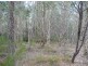 Lot 290 Masthead Drive, Agnes Water QLD 4677