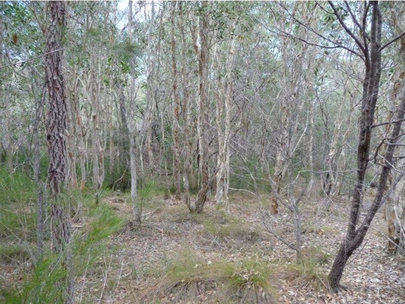 Lot 290 Masthead Drive, Agnes Water QLD 4677