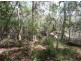 Lot 290 Masthead Drive, Agnes Water QLD 4677