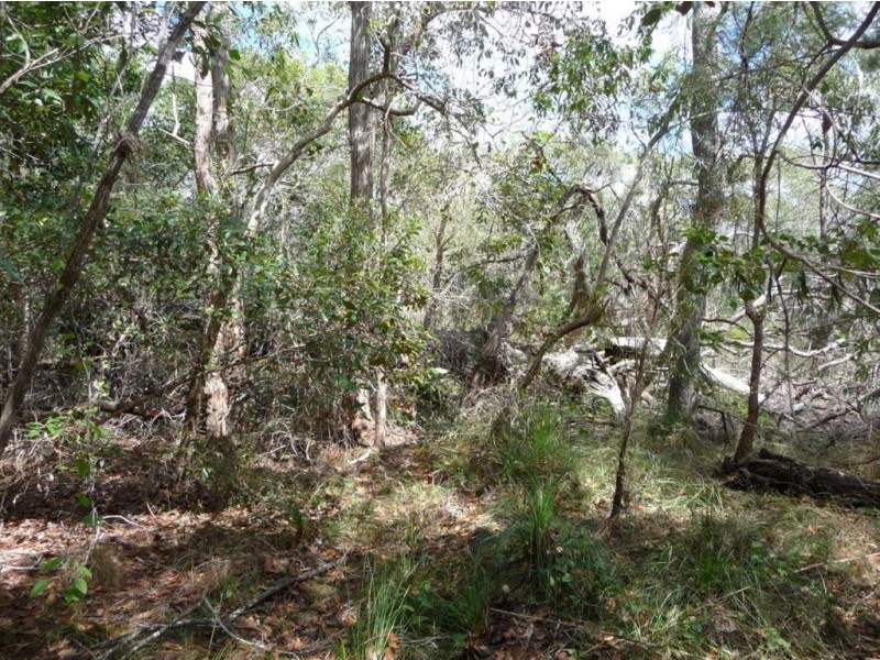 Lot 290 Masthead Drive, Agnes Water QLD 4677