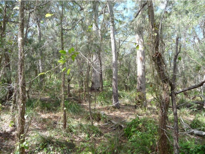 Lot 290 Masthead Drive, Agnes Water QLD 4677
