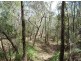 Lot 290 Masthead Drive, Agnes Water QLD 4677