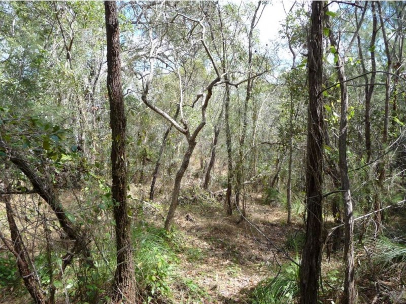 Lot 290 Masthead Drive, Agnes Water QLD 4677