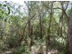 Lot 290 Masthead Drive, Agnes Water QLD 4677
