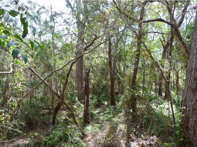 Lot 290 Masthead Drive, Agnes Water QLD 4677