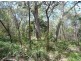 Lot 290 Masthead Drive, Agnes Water QLD 4677