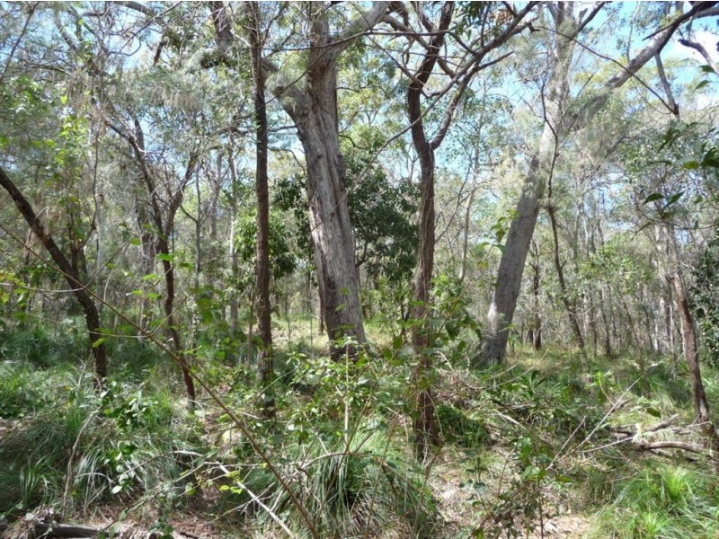 Lot 290 Masthead Drive, Agnes Water QLD 4677