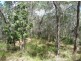 Lot 290 Masthead Drive, Agnes Water QLD 4677