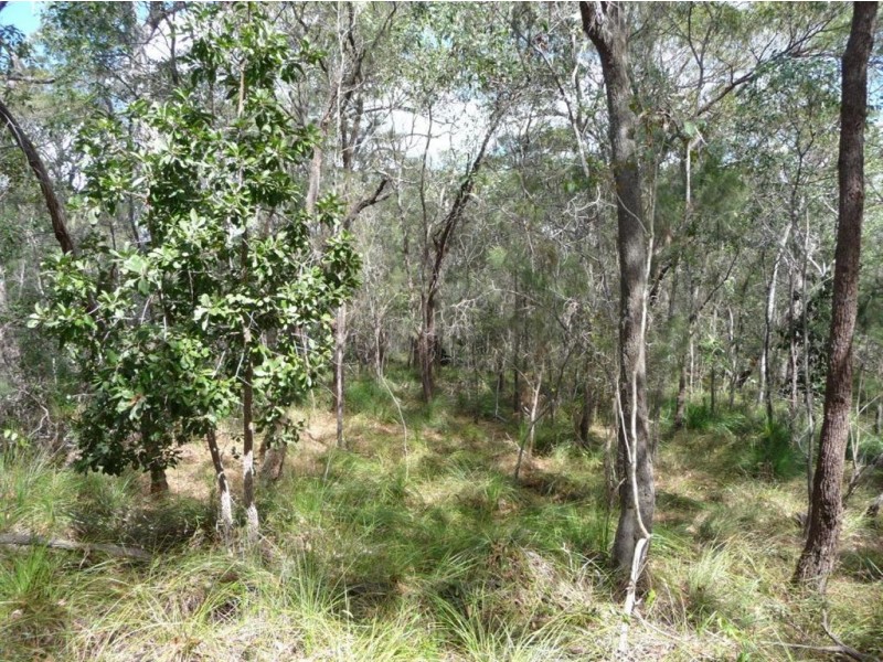 Lot 290 Masthead Drive, Agnes Water QLD 4677