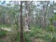 Lot 290 Masthead Drive, Agnes Water QLD 4677