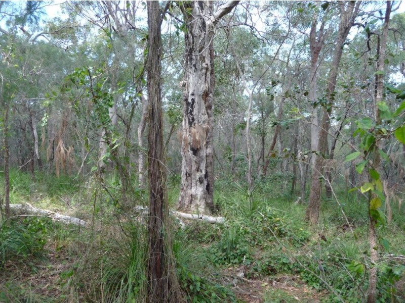 Lot 290 Masthead Drive, Agnes Water QLD 4677