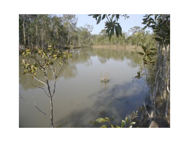 Lot 117 Avocado Drive, Captain Creek QLD 4677