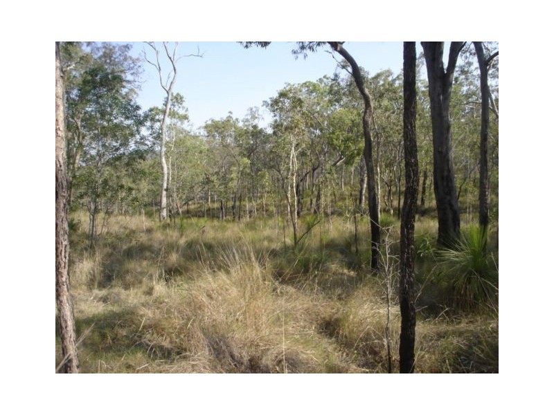 Lot 117 Avocado Drive, Captain Creek QLD 4677