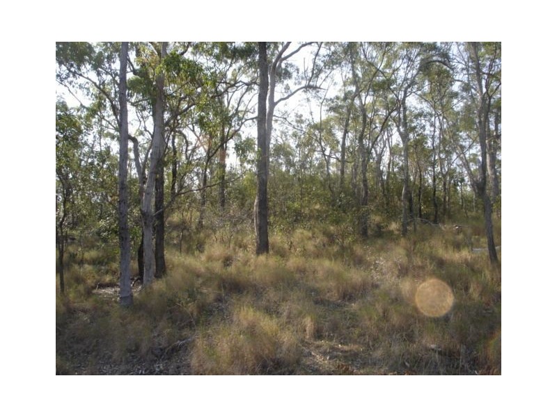 Lot 117 Avocado Drive, Captain Creek QLD 4677