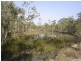 Lot 117 Avocado Drive, Captain Creek QLD 4677