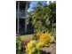 9 Bryant Street, Agnes Water QLD 4677
