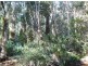 Lot 1 Fernfield Road, Deepwater QLD 4674