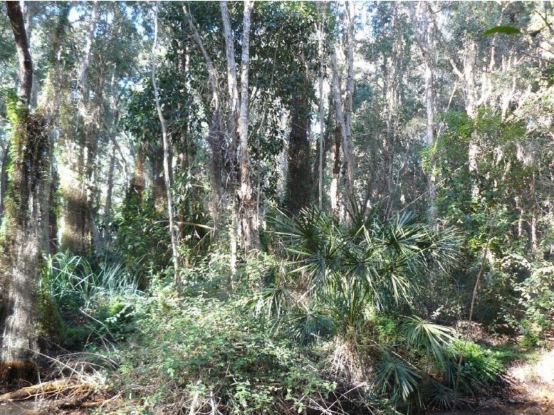 Lot 1 Fernfield Road, Deepwater QLD 4674