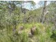 Lot 426 Anderson Way, Agnes Water QLD 4677