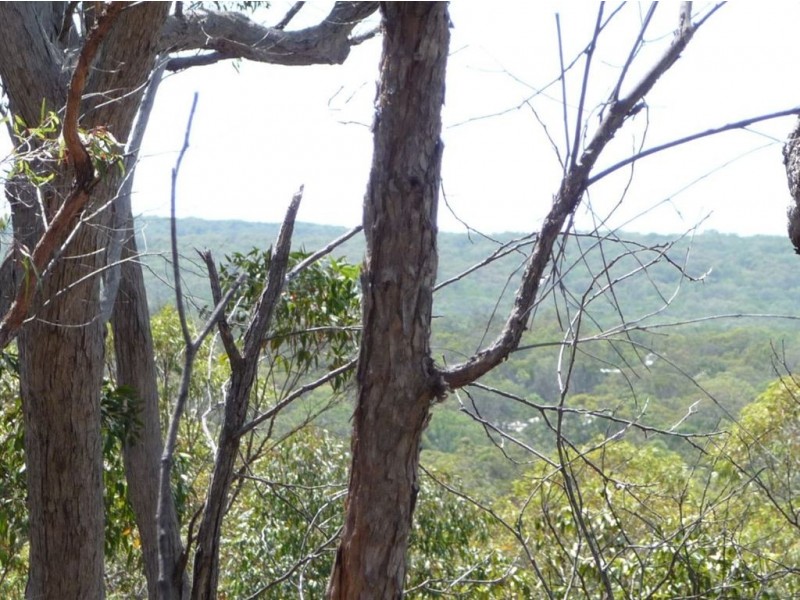 Lot 426 Anderson Way, Agnes Water QLD 4677